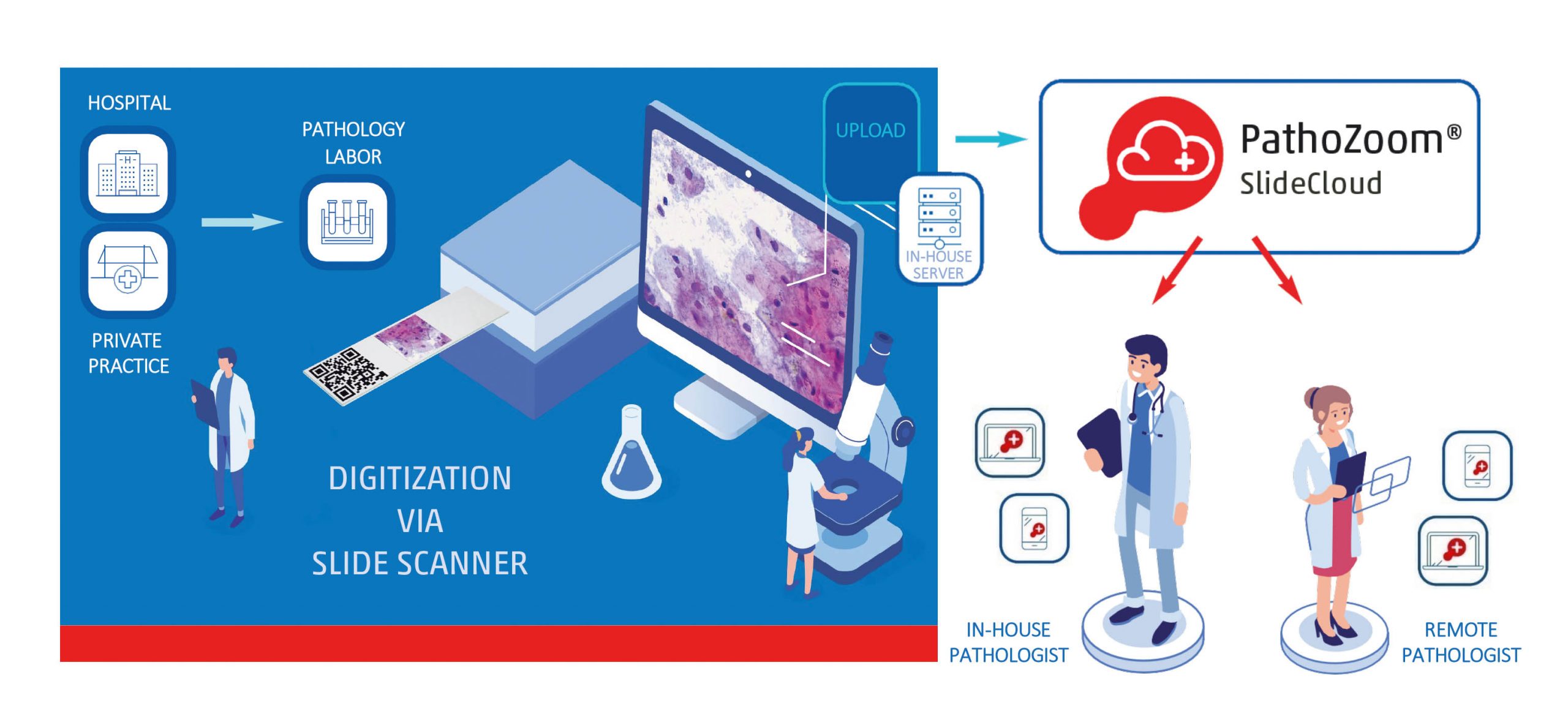 PathoZoom Digital Lab  Suite HomeOffice Smart In Media GmbH